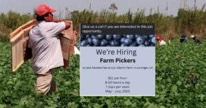 “happy-now-maga?”-they-ask…-and-the-answer-is-“yes”-|-the-gateway-pundit-|-by-antonio-graceffo