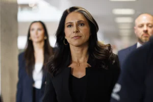 gabbard-refers-alleged-intelligence-leakers-to-doj-for-prosecution-–-washington-examiner