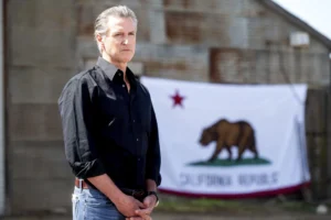 newsom-suggests-‘gaslighting’-voters-damaged-the-democratic-party-–-washington-examiner