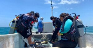 how-mexico’s-fishing-refuges-are-fighting-back-against-poaching