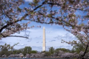 trump-expected-to-announce-dc-as-host-of-2027-nfl-draft