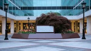 c-span’s-seven-year-effort-to-secure-a-spot-on-streaming-giants-–-washington-examiner