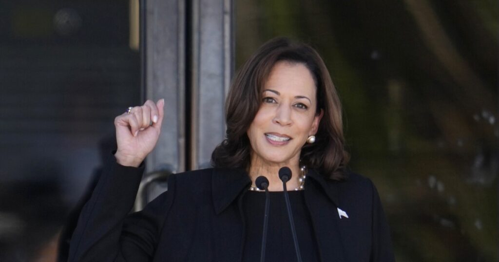 harris-and-white-house-mum-on-possibility-of-presidential-succession:-report