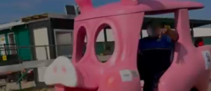 clueless-nola-police-chief-rides-around-jazz-fest-in-pig-mobile