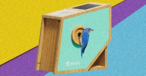 birdfy’s-polygon-smart-birdhouse-wants-to-make-your-backyard-visitors-famous