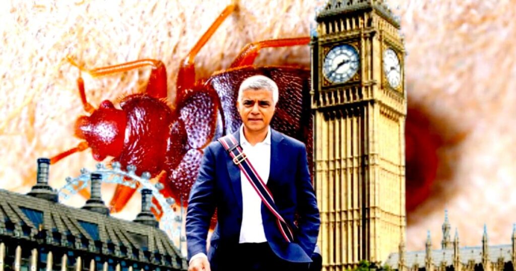 bedbugs-across-the-channel:-after-paris,-now-london-panics-with-the-possibility-of-a-pest-infestation-|-the-gateway-pundit-|-by-paul-serran