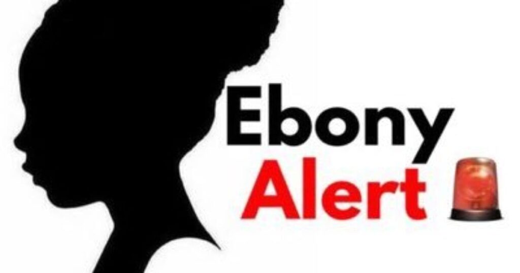 california-rolls-out-new-‘ebony-alert’-to-prioritize-search-for-missing-black-children-|-the-gateway-pundit-|-by-cristina-laila