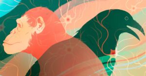 intelligence-on-earth-evolved-independently-at-least-twice