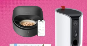 the-27-best-amazon-pet-day-deals