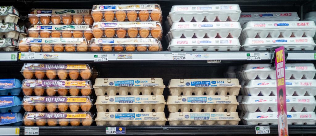 grocery-prices-see-biggest-drop-in-5-years-as-trump’s-policies-take-effect