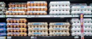 grocery-prices-see-biggest-drop-in-5-years-as-trump’s-policies-take-effect