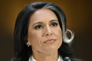 gabbard-purges-biden-holdovers-on-nic-–-washington-examiner