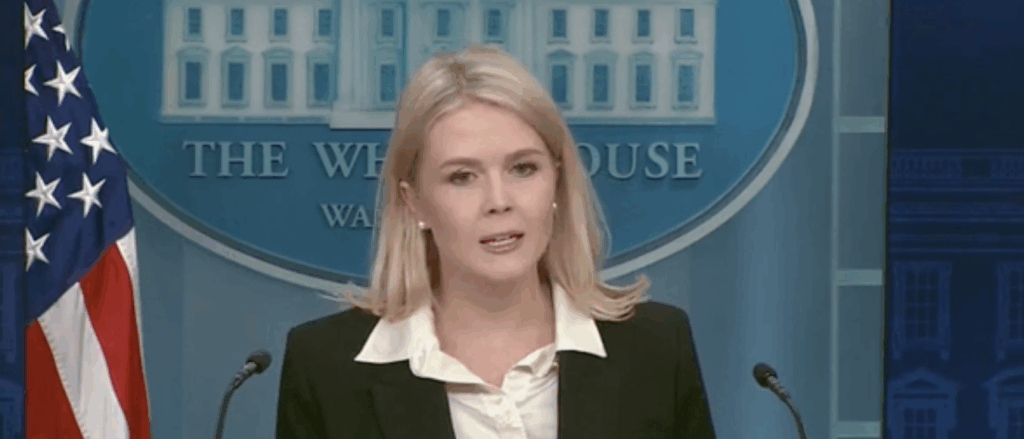 karoline-leavitt-says-trump-wants-to-primary-gop-reps-who-voted-against-‘big,-beautiful-bill’