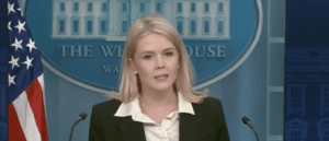 karoline-leavitt-says-trump-wants-to-primary-gop-reps-who-voted-against-‘big,-beautiful-bill’