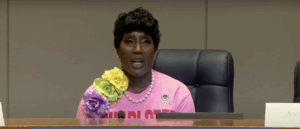 elected-dem-allegedly-used-taxpayer-funds-on-horse-drawn-carriage,-throne-at-lavish-birthday-bash