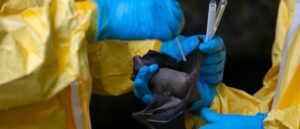 deep-state-bureaucrat-pleads-for-her-bosses-to-save-harvard’s-risky-‘virus-hunting’-grant