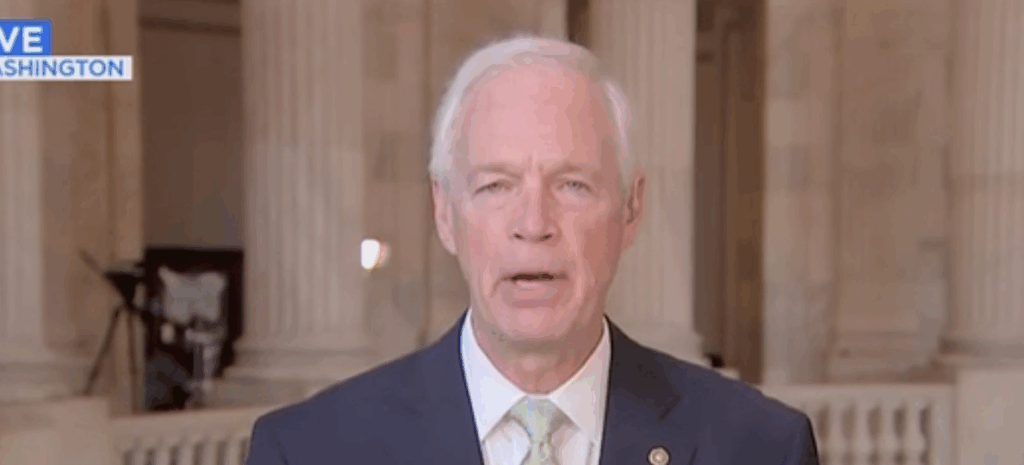 ron-johnson-says-elon-musk-‘bolsters’-his-case-trump’s-‘one-big,-beautiful-bill’-was-‘not-the-best-idea’