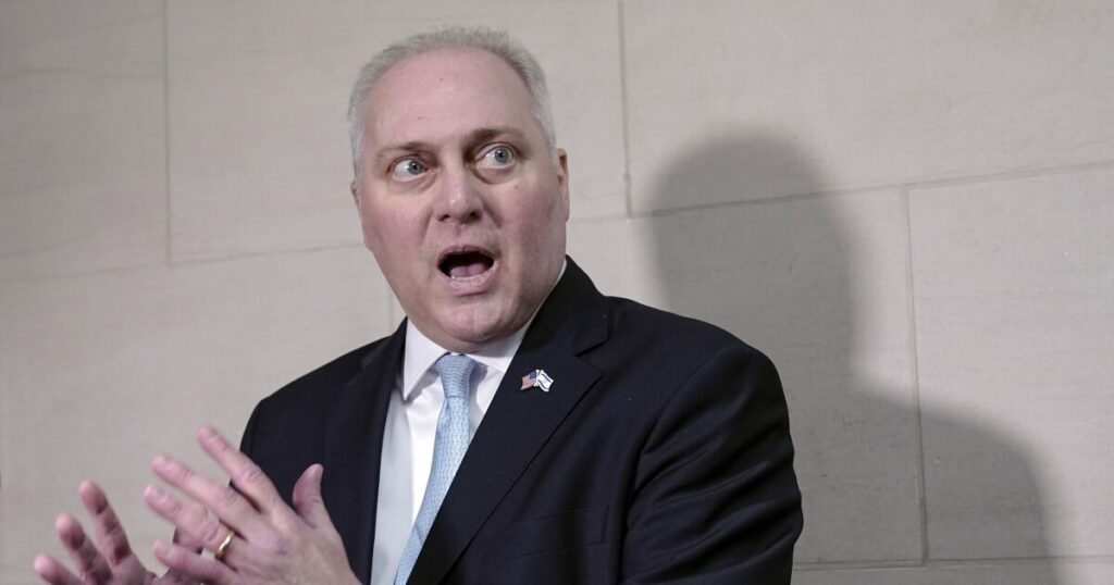 what-is-the-speaker-designee,-and-does-steve-scalise-have-any-powers?