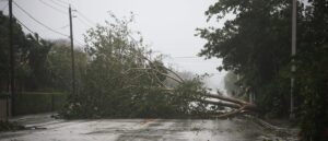 report:-high-school-football-star,-soon-to-be-father-dies-after-tree-branch-falls-on-him