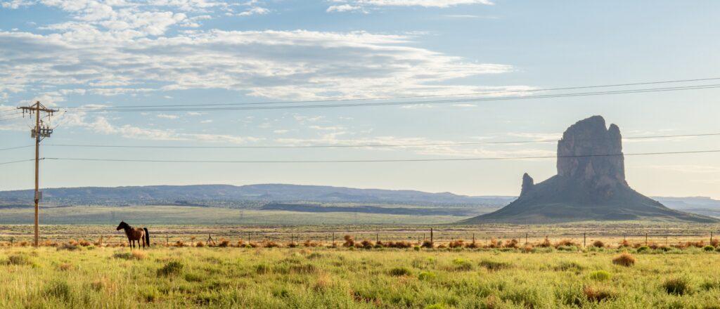 justice-department-paves-way-to-rein-in-federal-land-grabs