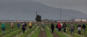 trump-says-farmers-are-‘being-hurt-badly’-by-immigration-enforcement