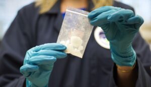 fentanyl-to-be-deemed-the-most-dangerous-drug