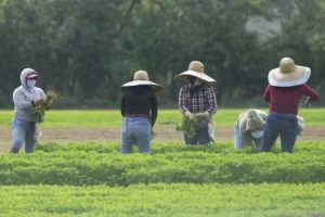 gop-urges-ice-to-prioritize-arrests-of-criminal-illegal-immigrants