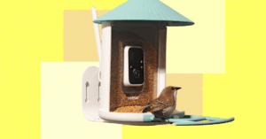i-turned-my-backyard-into-a-nature-documentary-with-a-flock-of-smart-bird-feeders