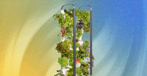 grow-anything-you-want-in-gardyn’s-indoor-hydroponic-garden—ai-guarantees-it-will-work
