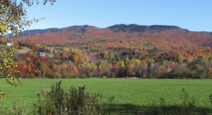 students-with-disabilities-get-to-work-in-state-summer-initiative-–-washington-examiner