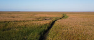 florida-ag-proposes-‘alligator-alcatraz’-for-illegal-aliens