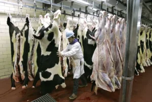 ice-crackdown-on-immigrant-workers-spells-trouble:-industry-leaders-–-washington-examiner