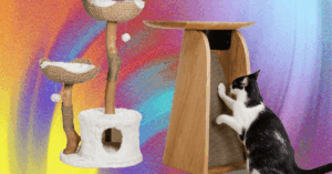 the-best-wired-tested-cat-toys-for-your-sophisticated-fur-baby