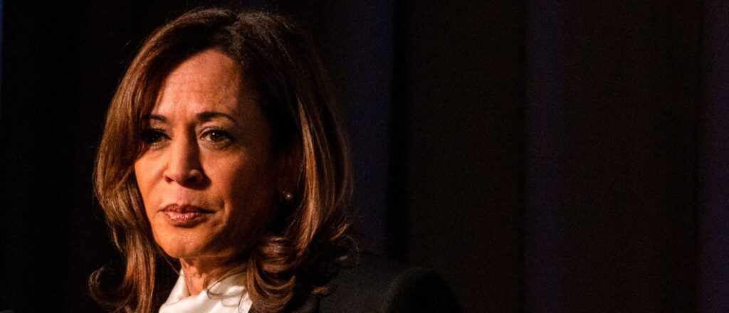 dem-donors-not-jumping-for-joy-over-idea-of-kamala-harris-comeback