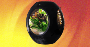 plantaform’s-smart-indoor-fogponics-garden-system-is-innovative,-but-is-it-safe?