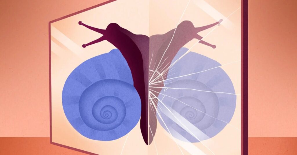 magnetic-minerals-may-have-given-life-its-molecular-asymmetry