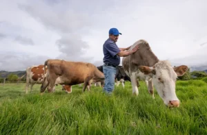 can-trump-make-farming-great-again?-–-washington-examiner