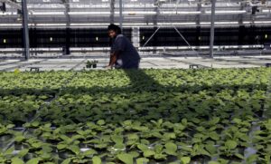 inside-the-lobbying-battle-over-a-tariff-provision-of-the-‘big,-beautiful-bill’-–-washington-examiner