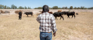 trump-admin-ramps-up-fight-against