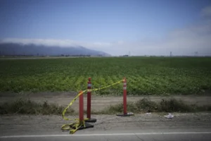 ice-says-200-illegal-immigrants-arrested;-ufw-reports-1-death-–-washington-examiner