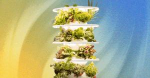lettuce-grow’s-indoor-farmstand-is-perfect,-except-for-a-few-bugs-(literally)