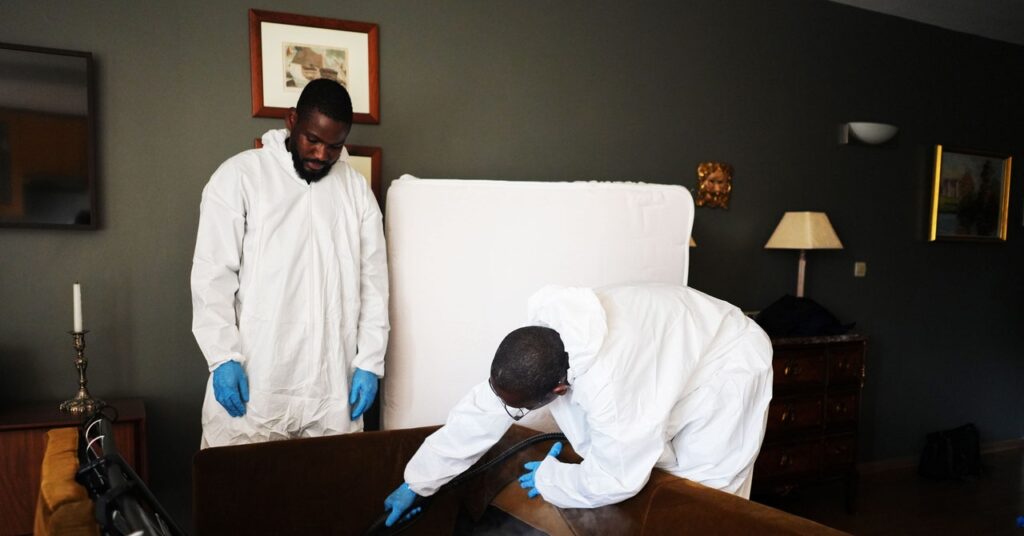 inside-the-race-to-crush-paris’-bedbug-crisis