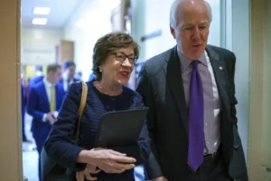 senators-stand-by-russia-election-meddling-report-after-gabbard-claims-–-washington-examiner