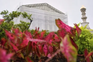 supreme-court-pauses-ruling-limiting-voting-rights-act-challenges-–-washington-examiner