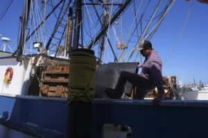 shrimpers-applaud-trump-trade-deal-–-washington-examiner