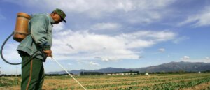 maha-sounds-alarm-over-pesticide-manufacturer-immunity