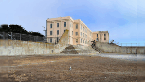 riley-gaines-fires-back-at-critics-after-she-accomplishes-alcatraz-feat-while-31-weeks-pregnant