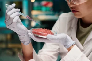 as-texas-becomes-7th-state-to-ban-lab-grown-meat,-usda-advances-it-–-washington-examiner