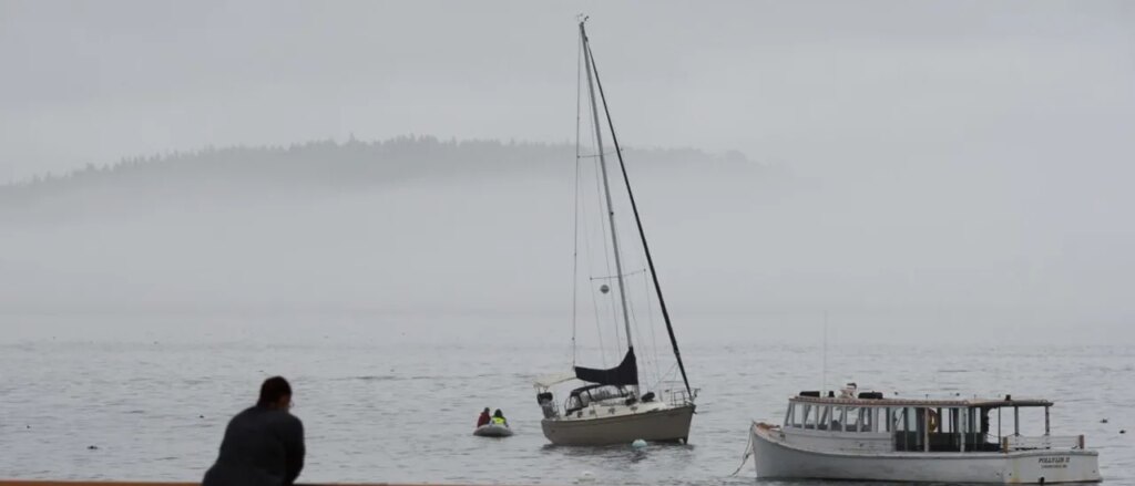 wealthy-residents-of-maine-resort-town-fret-over-losing-access-to-cheap-illegal-labor