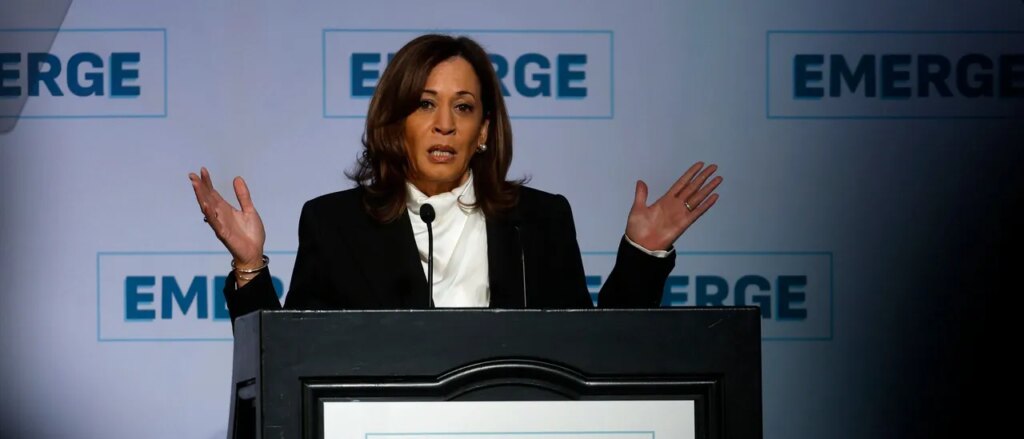 california-house-dems-split-on-kamala-comeback-idea